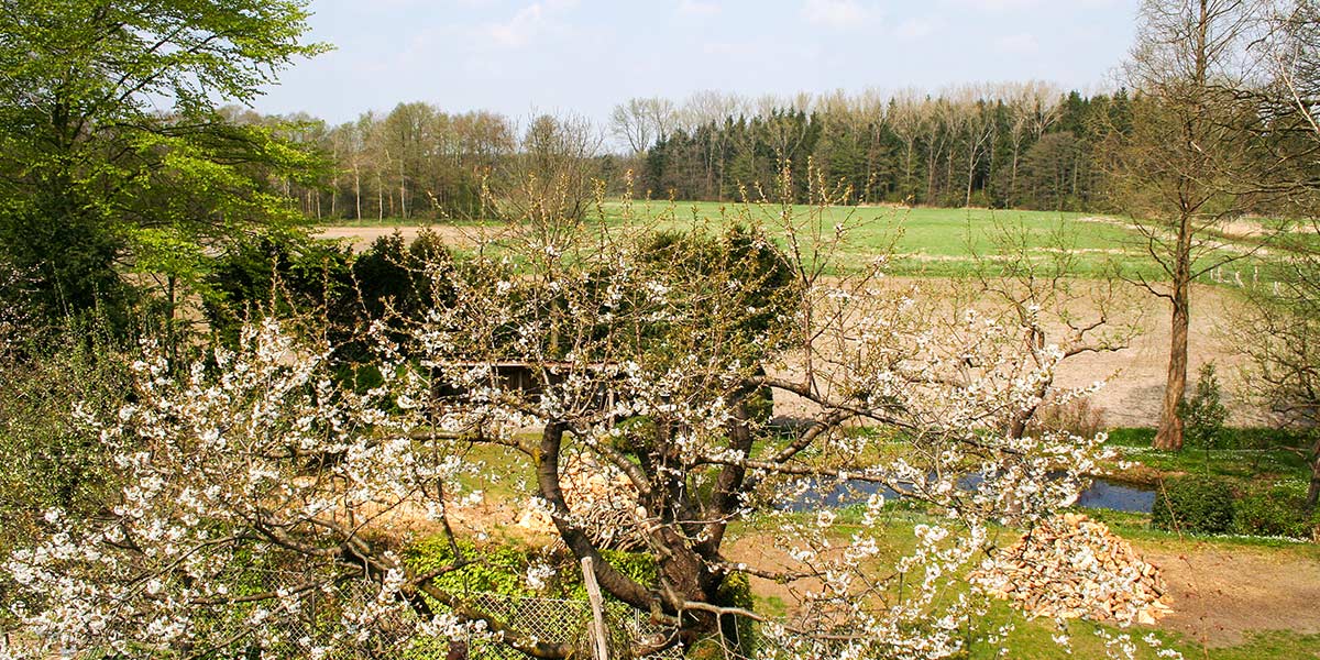 ferienhaus-wietzendorf-blick-ins-wietzetal